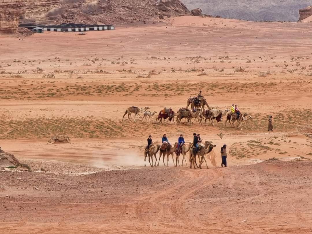 Shaheen Camp Wadi Rum Exterior foto